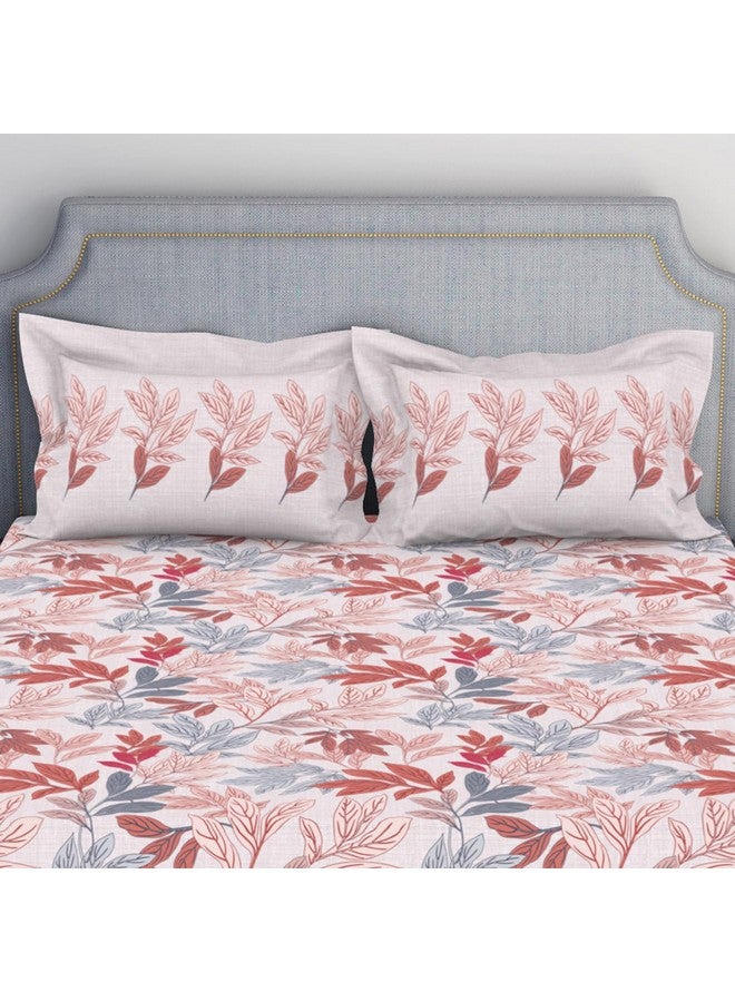 Spaces Atrium 144 TC 100% Cotton Bedsheet for Double Bed with 2 Pillow Cover | Diwali Festive Print & Super Soft (88" X 100" Inches) - Blush - Image 4