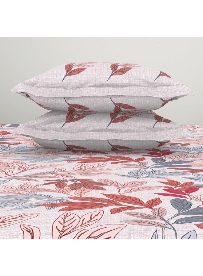 Spaces Atrium 144 TC 100% Cotton Bedsheet for Double Bed with 2 Pillow Cover | Diwali Festive Print & Super Soft (88" X 100" Inches) - Blush - Image 5