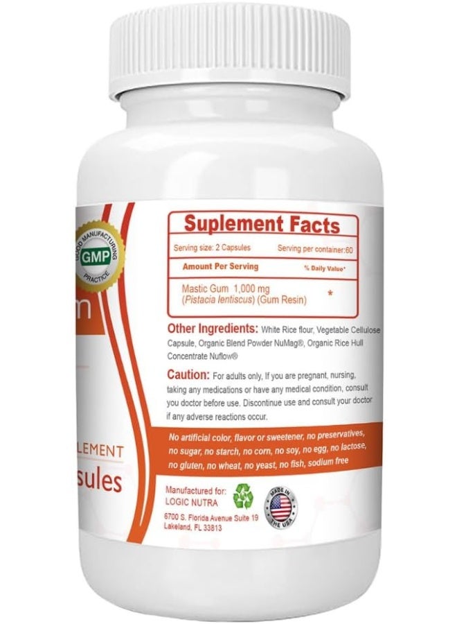 Logic Nutra صمغ الماستيك 1000 ملغ، مكمل غذائي لدعم صحة الجهاز الهضمي - 120 كبسولة نباتية - Image 2