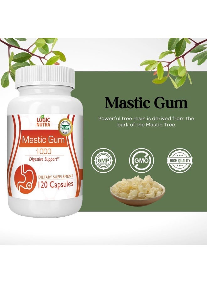Logic Nutra صمغ الماستيك 1000 ملغ، مكمل غذائي لدعم صحة الجهاز الهضمي - 120 كبسولة نباتية - Image 5