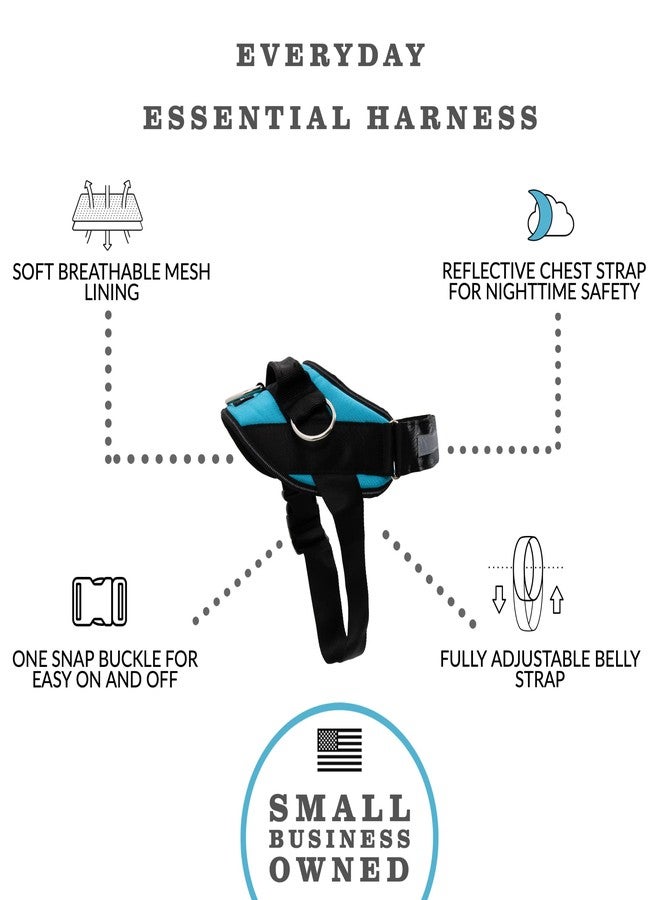 ShawnCo Essential Dog Harness, No-Pull Pet Vest with 3 Leash Clips, No Choke, Reflective, Adjustable and Padded, for Easy Walking and Training for Small, Medium and Large Dogs (Oceanic Blue, Medium) - Image 2