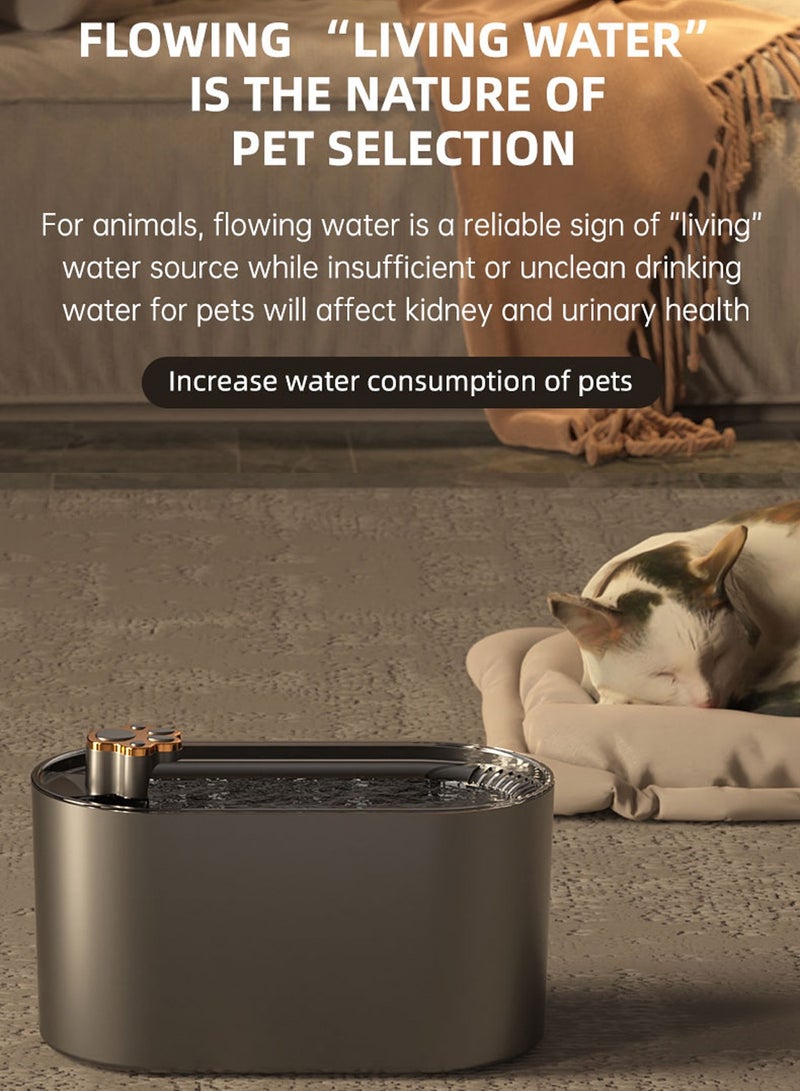 صن هوم نافورة مياه القطة ذات القدرة الكبيرة 3L نافورة مياه القطة التلقائية موزع مياه القطة مضخة هادئة للغاية نافورة مياه القطة متعددة الترشيح للشرب مناسبة للقطط الكلاب الحيوانات الأليفة الأخرى نافورة شرب الحيوانات الأليفة التلقائية مع الترشيح المتعدد - Image 3