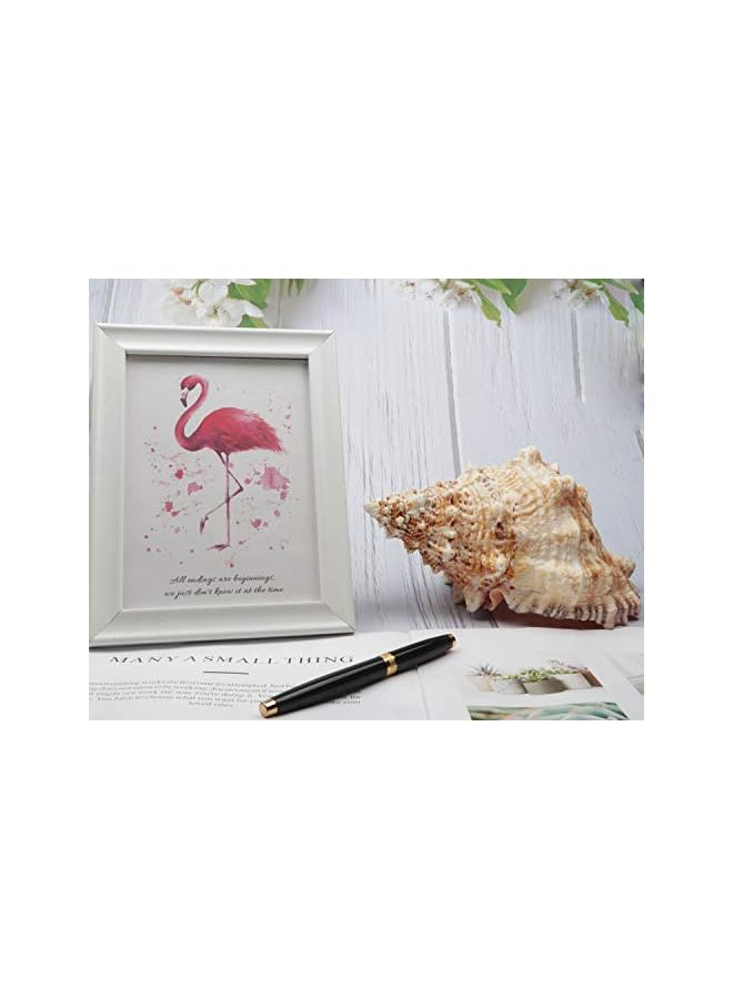 The Bros أصداف بحرية طبيعية كبيرة، قواقع محيطية ضخمة 7-8 بوصات، أصداف عملاقة مثالية لتزيين حفلات الزفاف، حفلات ذات طابع شاطئي، تزيين المنزل، الحرف اليدوية، أحواض السمك وجامعي الأصداف (اللون 5) - Image 4