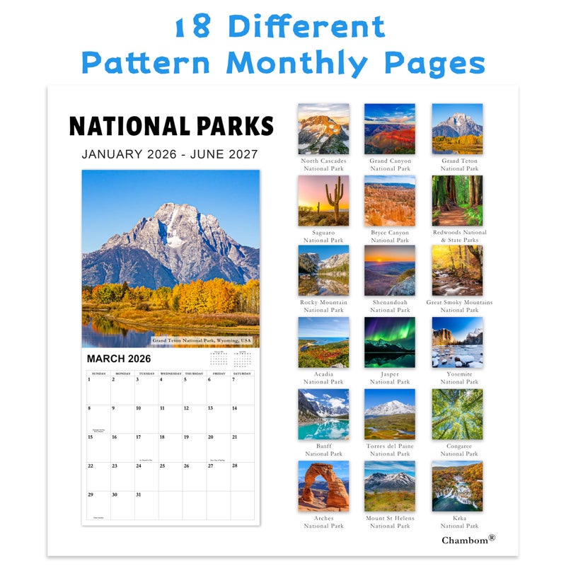 Chambom 2026-2027 Calendar - 18-Month Wall Calendar 2026-2027 from Jan. 2026 - Jun. 2027, 2026 Wall Calendar, 12" x 24"(open), Calendars with Unruled Blocks, Holidays, Thick Paper for Organizing & Planning - Image 3