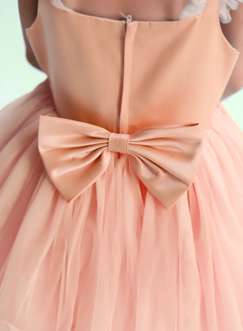 دىدانيالا Peach Tulle Dress
