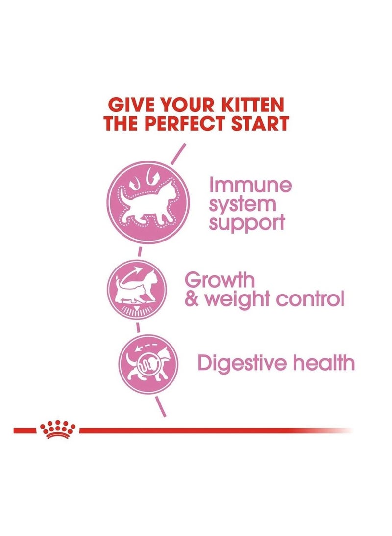 رويال كانين غذاء القطط الصحي ومعقم للقطط 2 كجم - Image 4