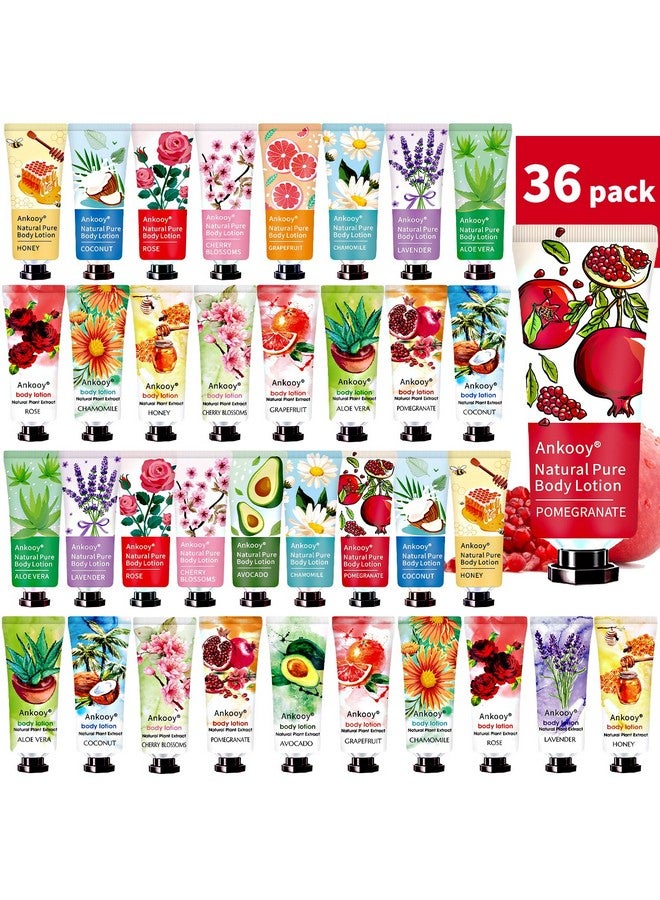 Ankooy 36 Pack Body Lotion For Women Dry Skinmothers Day Gifts For Momteacher Appreciation Giftsnatural Plant Travel Size Lotion With Shea Butter Body Cream Small Gifts For Bridesmaidnursescoworkers - Image 1