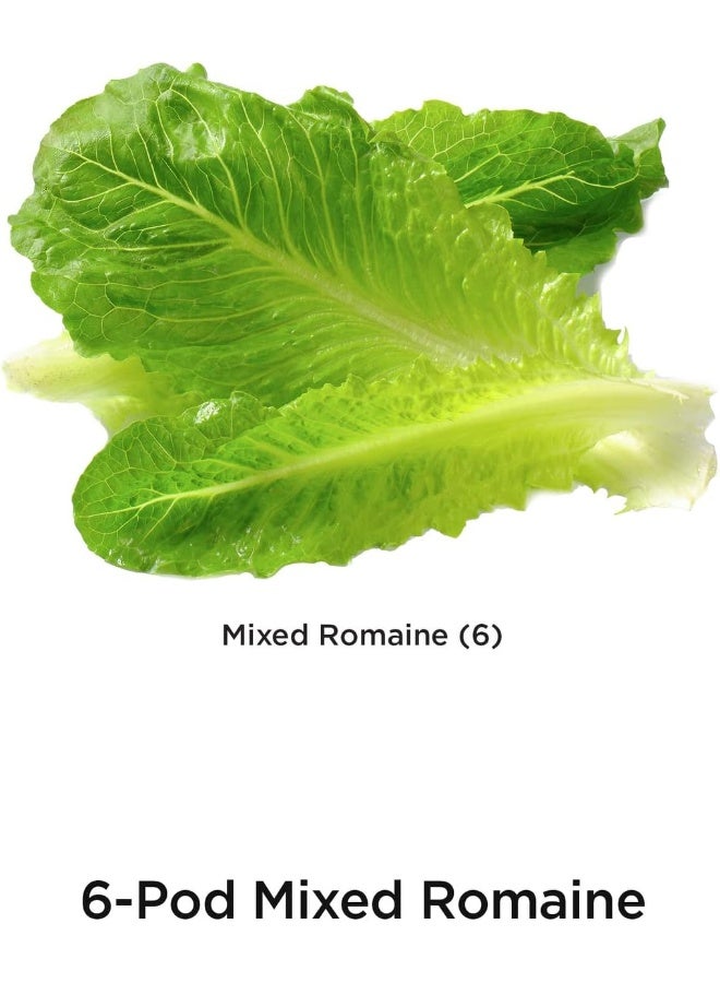AeroGarden Mixed Romaine Seed Pod Kit (6-Pod)  - Image 5