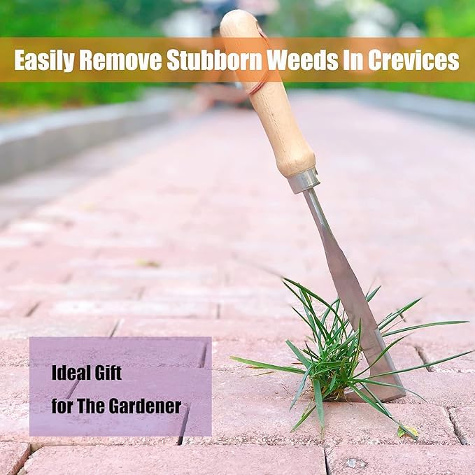 RedBuild ® Crack Weeder, 12" Stainless Steel Crevice Weeding Tool with Beech Wood Handle, L-Shaped Side-Walk Weed Puller Spatula, for Garden Lawn Yard Patio Terrace Paving Moss, Small Gardening Tool - Image 3