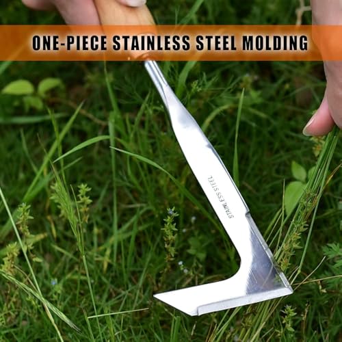 RedBuild ® Crack Weeder, 12" Stainless Steel Crevice Weeding Tool with Beech Wood Handle, L-Shaped Side-Walk Weed Puller Spatula, for Garden Lawn Yard Patio Terrace Paving Moss, Small Gardening Tool - Image 5