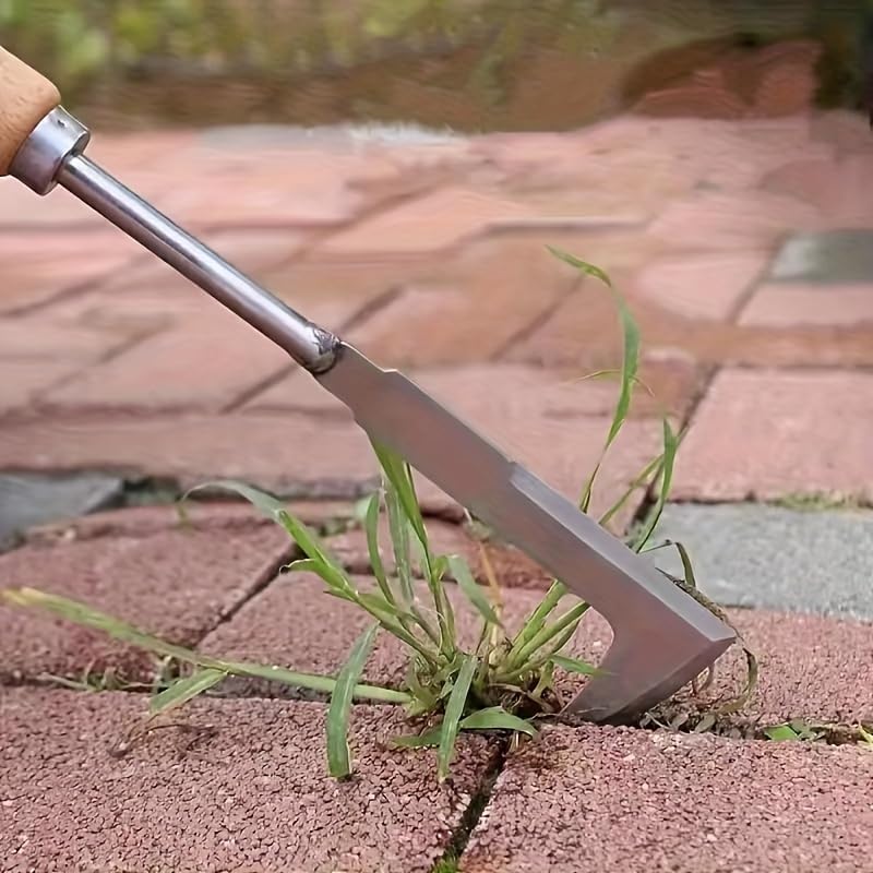 RedBuild ® Crack Weeder, 12" Stainless Steel Crevice Weeding Tool with Beech Wood Handle, L-Shaped Side-Walk Weed Puller Spatula, for Garden Lawn Yard Patio Terrace Paving Moss, Small Gardening Tool - Image 1