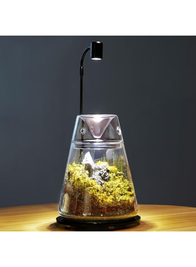 يُسلِّم حوض زجاجي للنباتات مع غطاء، 5.85 × 7.9 بوصة، وعاء هوائي للنباتات العصارية، مزهرية صغيرة من السرخس والطحالب لتزيين المنزل والمكتب والطاولة (مع إضاءة) - Image 1