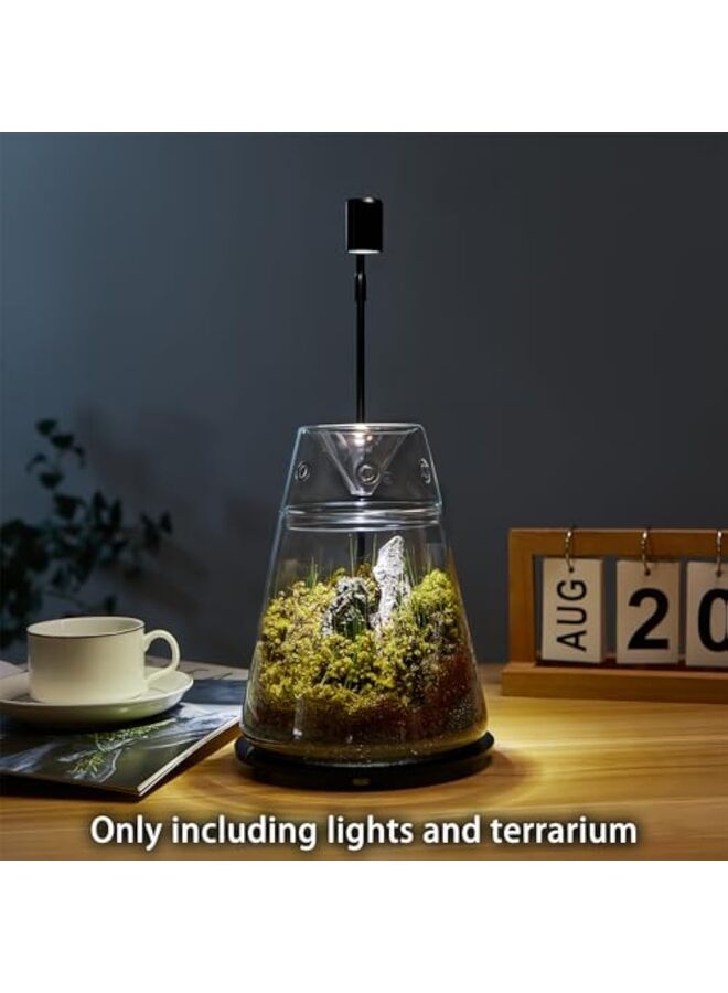 يُسلِّم حوض زجاجي للنباتات مع غطاء، 5.85 × 7.9 بوصة، وعاء هوائي للنباتات العصارية، مزهرية صغيرة من السرخس والطحالب لتزيين المنزل والمكتب والطاولة (مع إضاءة) - Image 3