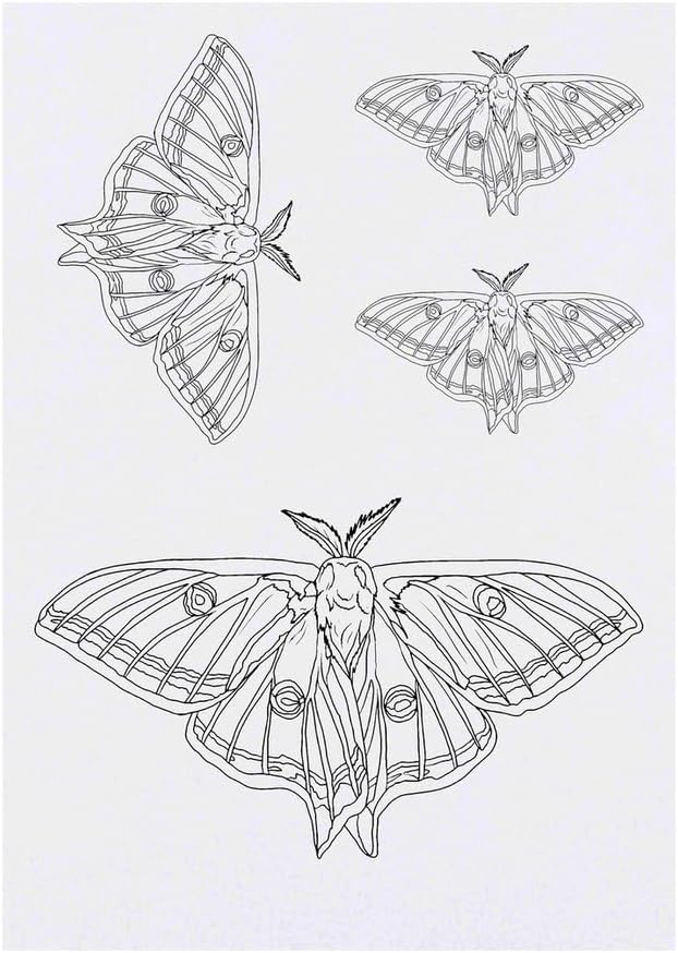 4 x Luna Moth Temporary Tattoos Water Resistant SkinSafe NonToxic Transfers Mixed Sizes TO00080708