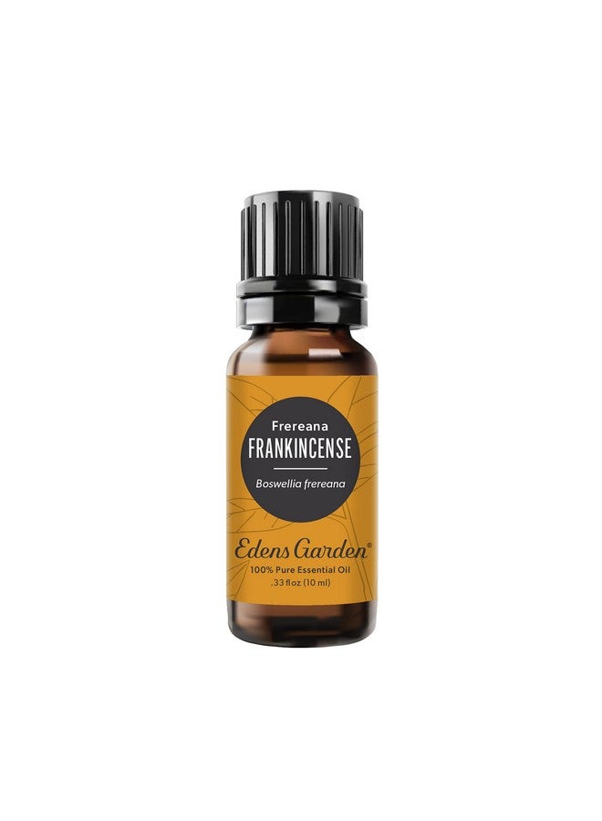 Edens Garden زيت اللبان من إيدنز غاردن - زيت فريرانا الأساسي - 100% نقي من الدرجة الممتازة، غير مخفف، طبيعي، علاجي، للعلاج بالروائح، الأفضل للناشر، البشرة، الوجه، الشعر 10 مل (.33 أونصة سائلة) - Image 1