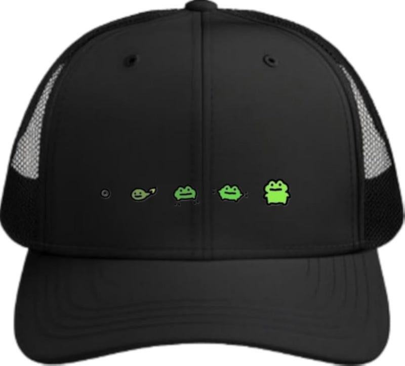 Frog Plain unisex baseball cap Black 5