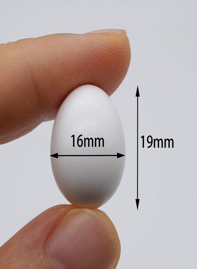 FOIBURELY 8 Pcs Solid Parrot Plastic Eggs Hatching Eggs Parrotlet，Budgie Parakeet，Diamond Dove Trick The Birds to Stop Laying Eggs, Fake Eggs（19mm*16mm） - Image 2