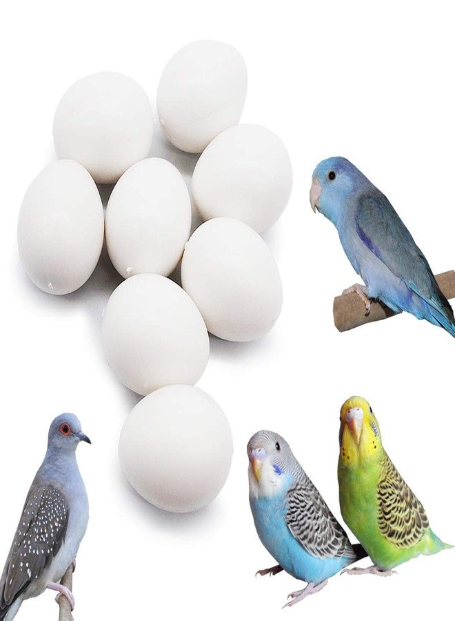 FOIBURELY 8 Pcs Solid Parrot Plastic Eggs Hatching Eggs Parrotlet，Budgie Parakeet，Diamond Dove Trick The Birds to Stop Laying Eggs, Fake Eggs（19mm*16mm） - Image 1