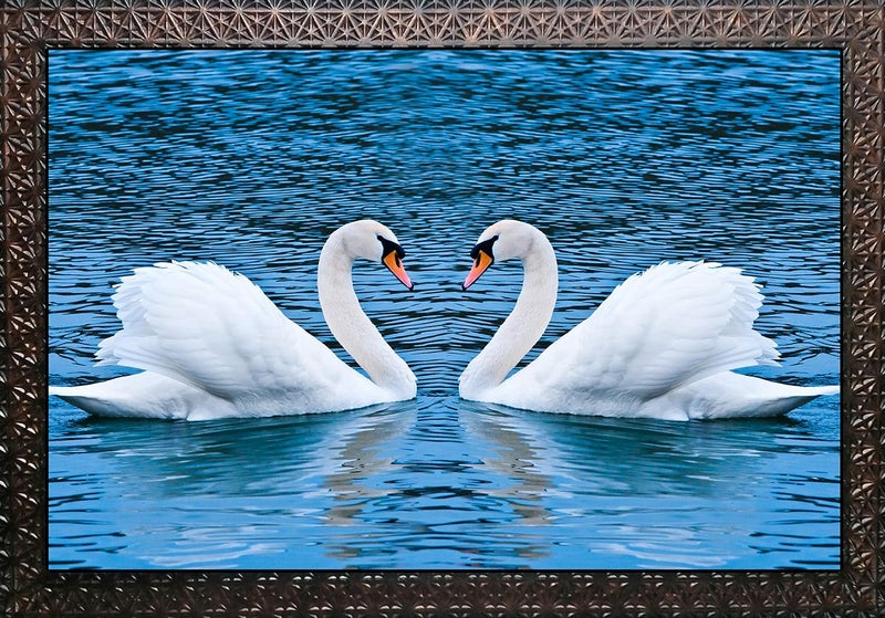 PARI ARTS PARI ARTS Beautiful Wall Painting Love Birds Special Effects Sparkle Lamination Framed Wall Paintings Home Decor Hotels Synthetic Solid Wooden Frame Size 56cm x 70cm ph0024