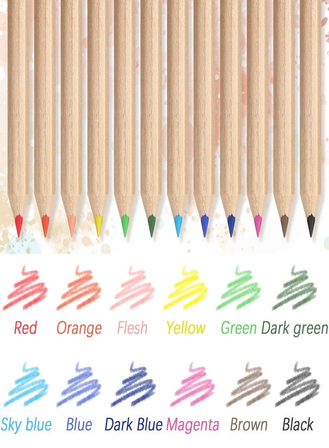 Sinload 24 Set Mini Colored Pencil Bulk for Kid 3.5in Colored Pencils for Coloring Drawing Bulk for Student Teacher 12 Color with Sharpener Eraser School Classroom Party Favors Gifts - Image 4