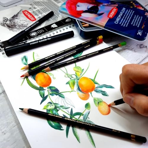 Derwent Chromaflow Coloured Pencils Tin, Vibrant & Blendable, Ideal for Drawing & Sketching, Wax-Based, Professional Quality - 2305857 (Set of 24) - Image 5