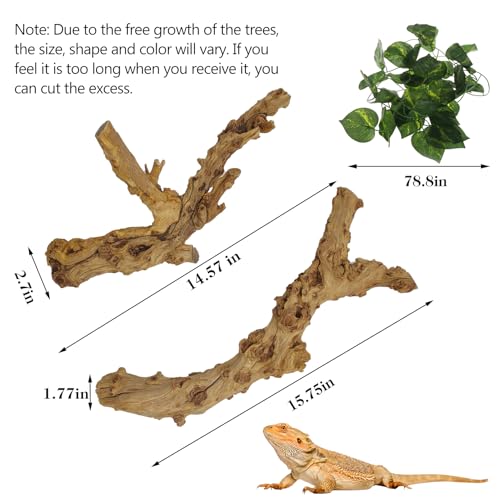 VCEPJH 2 Pack Reptile Wood Branches, Snake Climbing Branch Natural Bearded Dragon Log Tank Accessories Tree Trunk for Chameleon Gecko Snake Frog Spider - Image 3