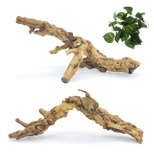VCEPJH 2 Pack Reptile Wood Branches, Snake Climbing Branch Natural Bearded Dragon Log Tank Accessories Tree Trunk for Chameleon Gecko Snake Frog Spider - Image 1