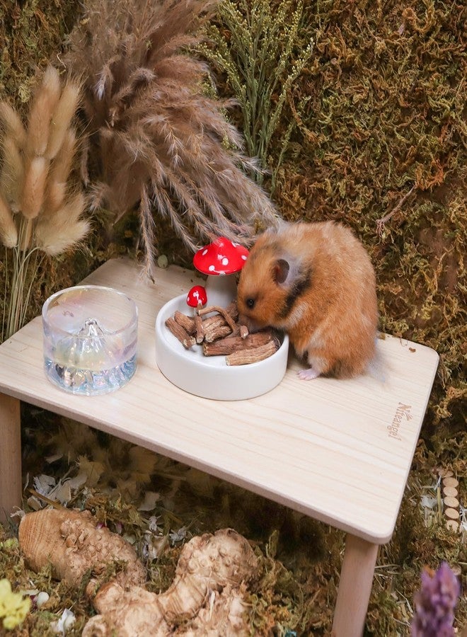 Niteangel Hamster Snack & Treats Toy - Small Animal Natural Treat for Dwarf Syrian Robo Hamsters Gerbils Mice Lemmings Degus or Other Small-Sized Pets - Image 4
