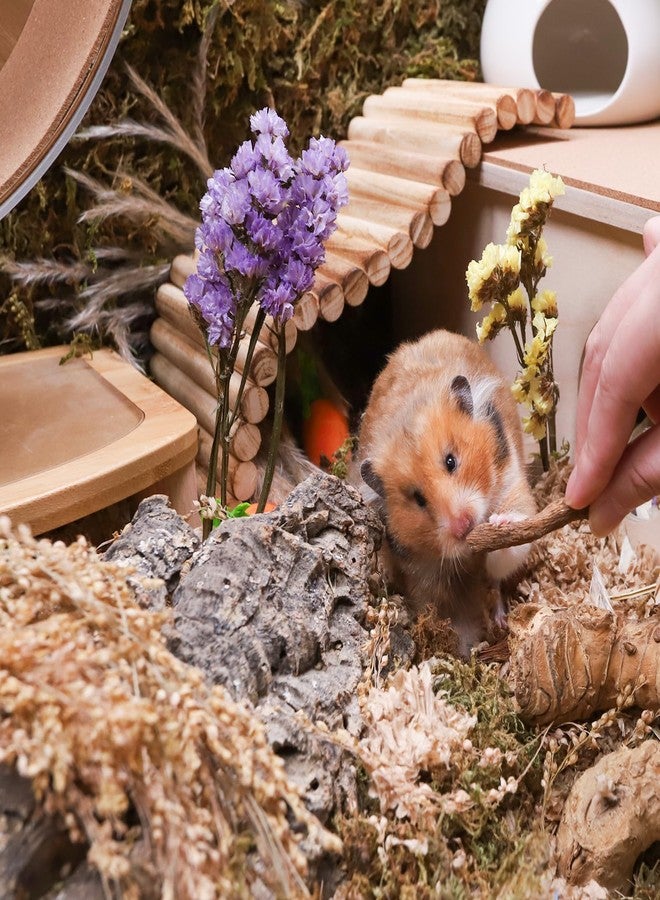 Niteangel Hamster Snack & Treats Toy - Small Animal Natural Treat for Dwarf Syrian Robo Hamsters Gerbils Mice Lemmings Degus or Other Small-Sized Pets - Image 5