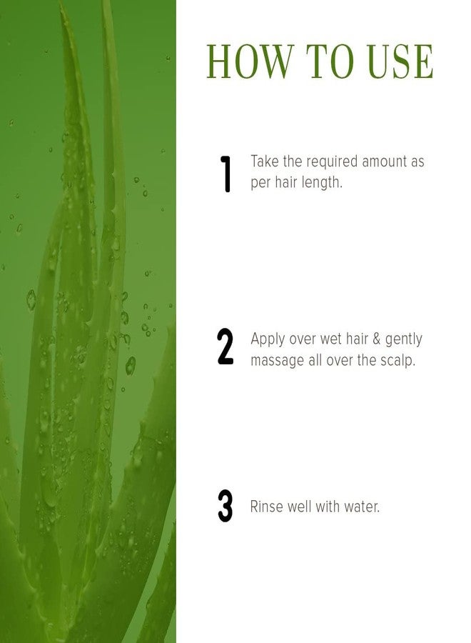 EDITH منظف/شامبو الشعر العشبي الطبيعي من إديث بخلاصة الصبار | يزيل القشرة | يلطف فروة الرأس | خالٍ من كبريتات لوريل الصوديوم والبارابين 200 مل - Image 4