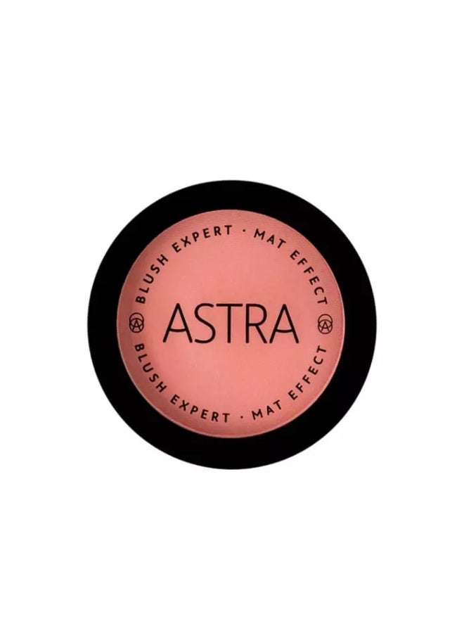 Astra Expert Matte Effect Fairt Blush Powder - 02 - Image 2