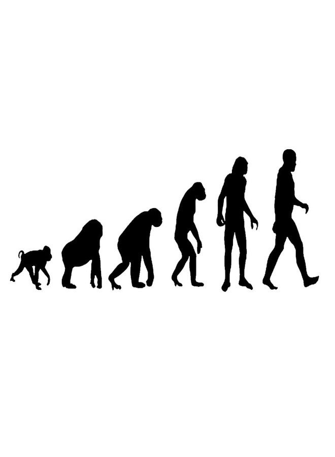 Decal Serpent Theory of Evolution Darwain Ape Human 6" Vinyl Sticker Car Decal (6" Black) - Image 2