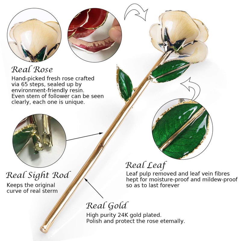 Sinvitron Gold Dipped Rose 24K Real Rose  Long Stem Hand Dipped in 24k Gold Rose Unique Romantic Gifts for Women in Her Birthday  Anniversary Valentines Day  for mom (White) - Image 2