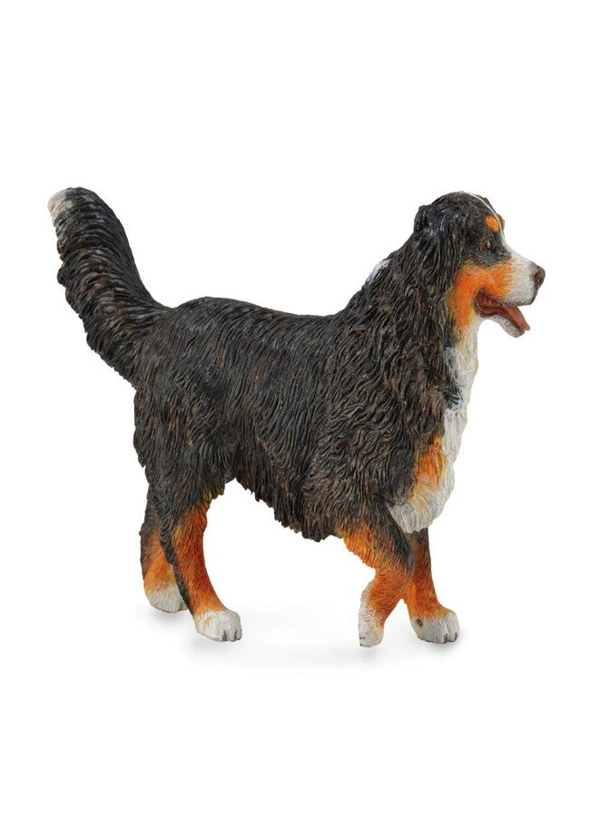 Collecta Bernese Mountain Dog Animal Toy, 4.1"L x 2.6"H - Image 1