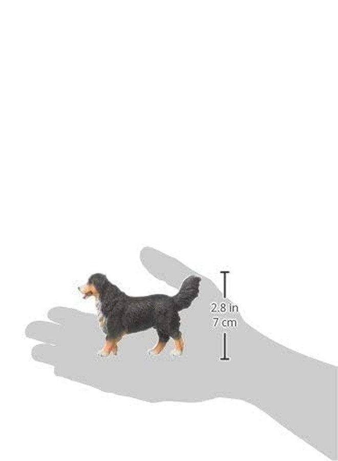 Collecta Bernese Mountain Dog Animal Toy, 4.1"L x 2.6"H - Image 2