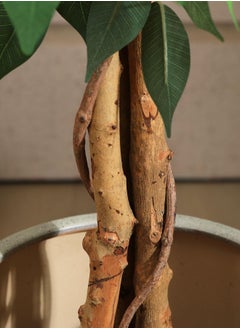 Zvezvia Artificial Ficus Trees Eucalyptus Trees with Silk Leaves,Fake Moss and Sturdy Nursery Pot,Fake Plants for Office Home Decor 180CM  - Image 3