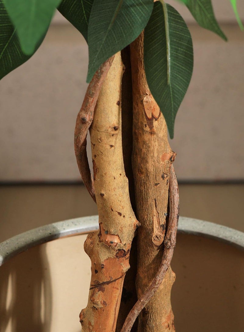 Zvezvia Artificial Ficus Trees Eucalyptus Trees with Silk Leaves,Fake Moss and Sturdy Nursery Pot,Fake Plants for Office Home Decor 180CM - Image 4