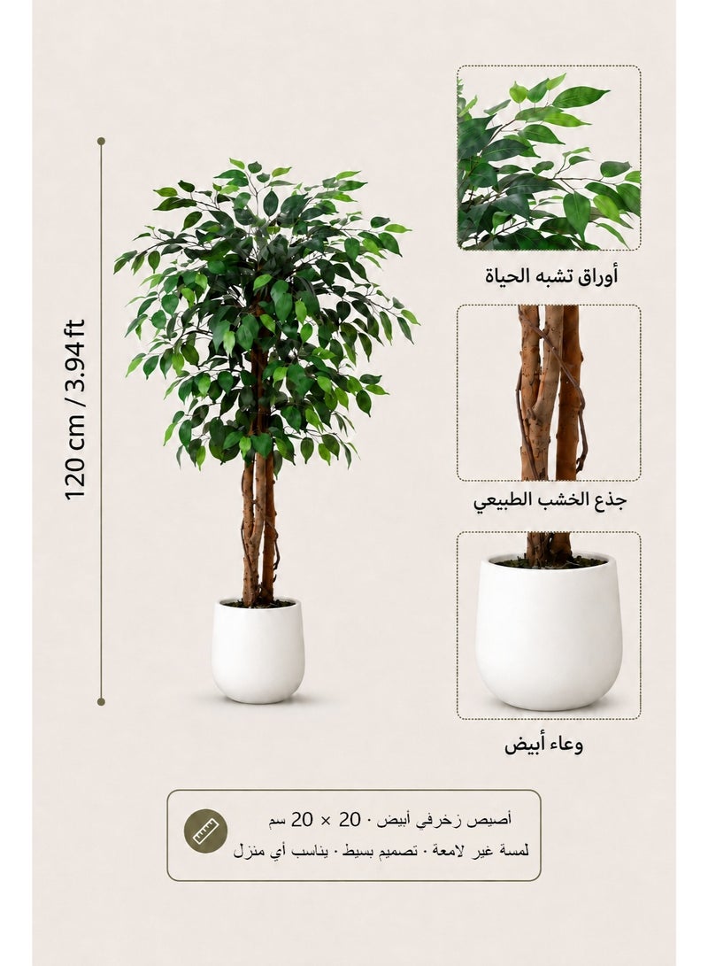 Zvezvia Artificial Ficus Trees with White Pot – 120cm/150cm/180cm Faux Plant Fake Silk Trees with Fake Moss, for Office, Living Room, Hallway, Indoor Outdoor Decor - Image 5