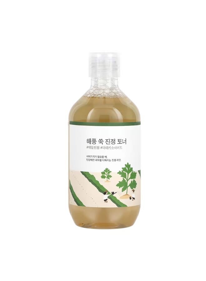 راوند لاب Mugwort Calming Toner 10.14 fl oz 300 ml - Image 1