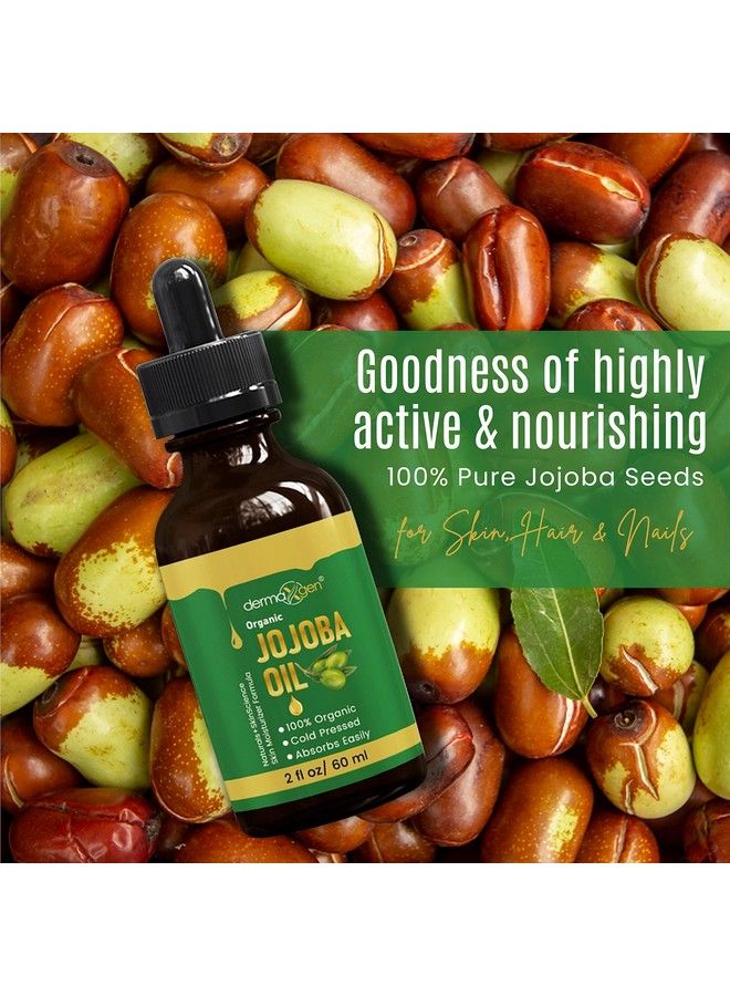 dermaxgen Jojoba Oil 100% Organic & Cold Pressed Oil Antiaging Moisturizing Treatment For Face Hair Skin & Nails Acne Scars Antiwrinkle. (2 Fl Oz) - Image 5