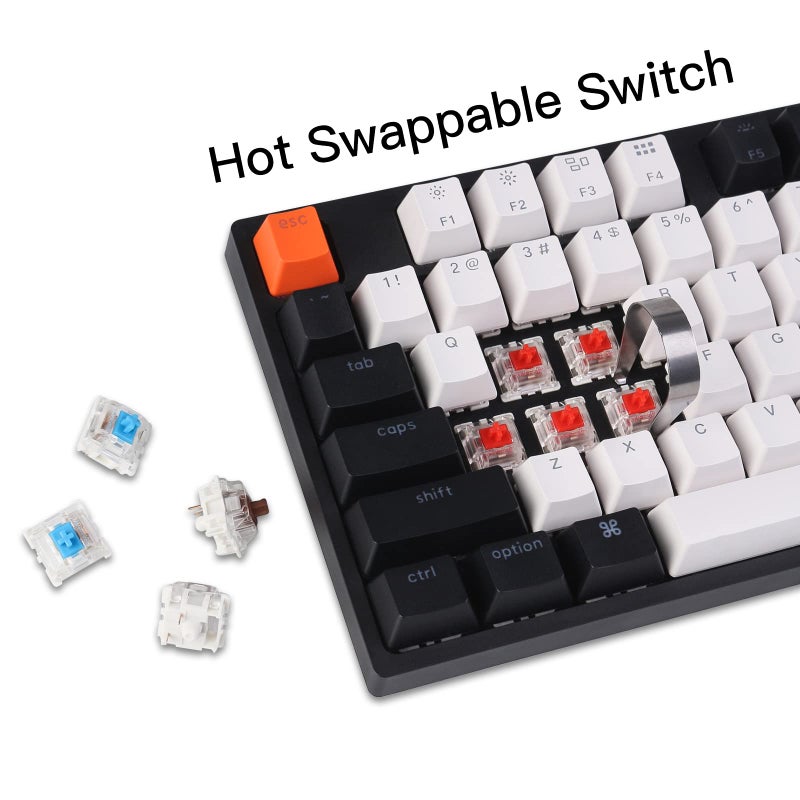 Keychron C2 Full Size Wired Mechanical Keyboard for Mac, Hot-swappable, Gateron G Pro Red Switch, White Backlight, 104 Keys ABS keycaps Gaming Keyboard for Windows,Type-C Braid Cable - Image 4