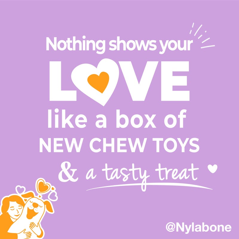 Nylabone Dog Gift Box, Includes 3 Strong Chew Toys and 1 Natural Treat, Gifts for Dogs, Small - Up to 25 lbs, 4 Pack - Image 5