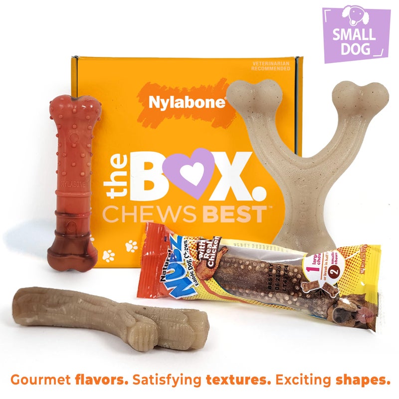 Nylabone Dog Gift Box, Includes 3 Strong Chew Toys and 1 Natural Treat, Gifts for Dogs, Small - Up to 25 lbs, 4 Pack - Image 3