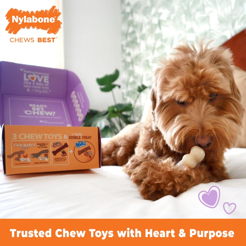 Nylabone Dog Gift Box, Includes 3 Strong Chew Toys and 1 Natural Treat, Gifts for Dogs, Small - Up to 25 lbs, 4 Pack - Image 2