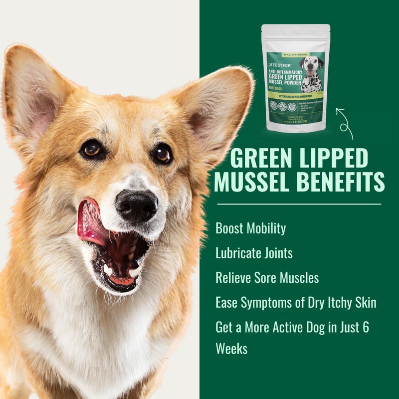Azestfor Anti-Inflammatory Green Lipped Mussel for Dogs Powder - Image 5