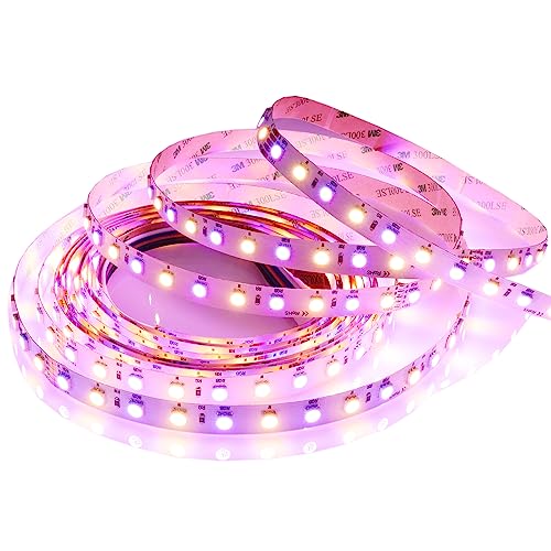 LEDENET RGBW LED Strip Lights RGB+Warm White(2800K-3200K) 360LEDs SMD 5050 DC 24V Multi-Colored LED Tape Lights Flexible LED Rope Lighting 16.4Ft Non-Waterproof for Bedroom Kitchen Decoration - Image 1