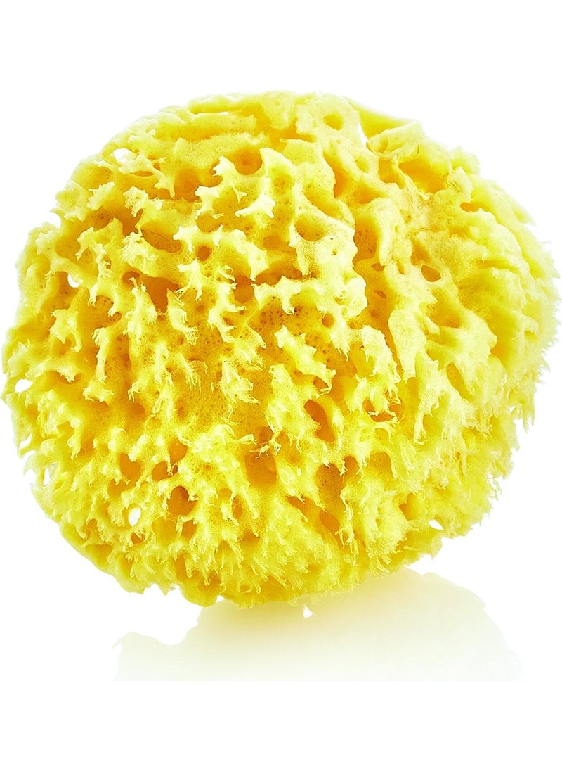 Vav Baby - Natural Sea Sponge - Image 1