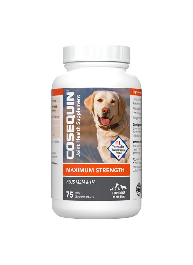 COSEQUIN - Ds Plus Msm Plus Ha Chewable Tab 75 Count - Image 1