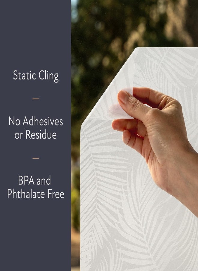 Artscape Etched Palm Sidelight | Decorative Privacy Window Film with Etched Frosted Glass Pattern | Non-Adhesive & UV Protection | Easy to Apply & Removable | 12 x 73 Inches | Made in USA - Image 2