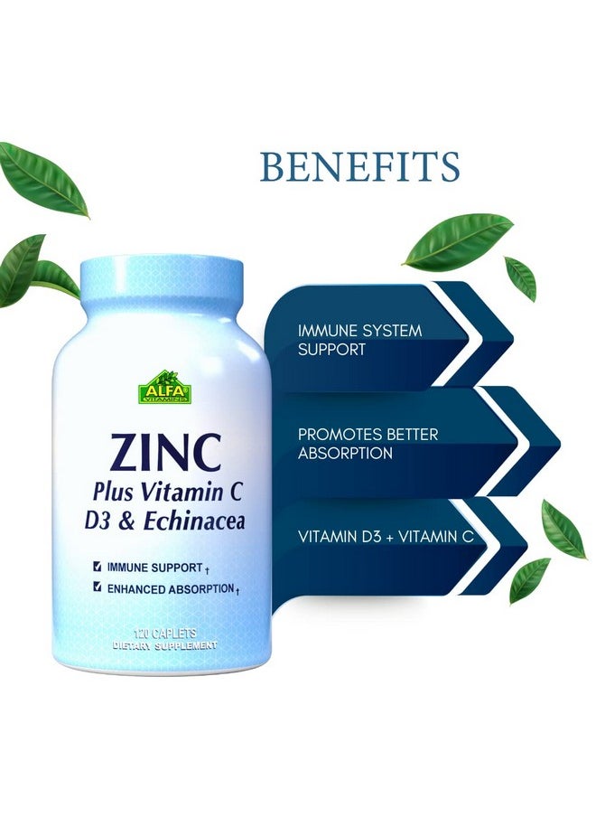 alfa vitamins Zinc + Vitamin C D & Echinacea Powerful Formula Immune Support Enhanced Absorption 120 Caplets  - Image 4